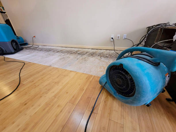 Professional Basement Flood Cleanup technician working in Minden, WV